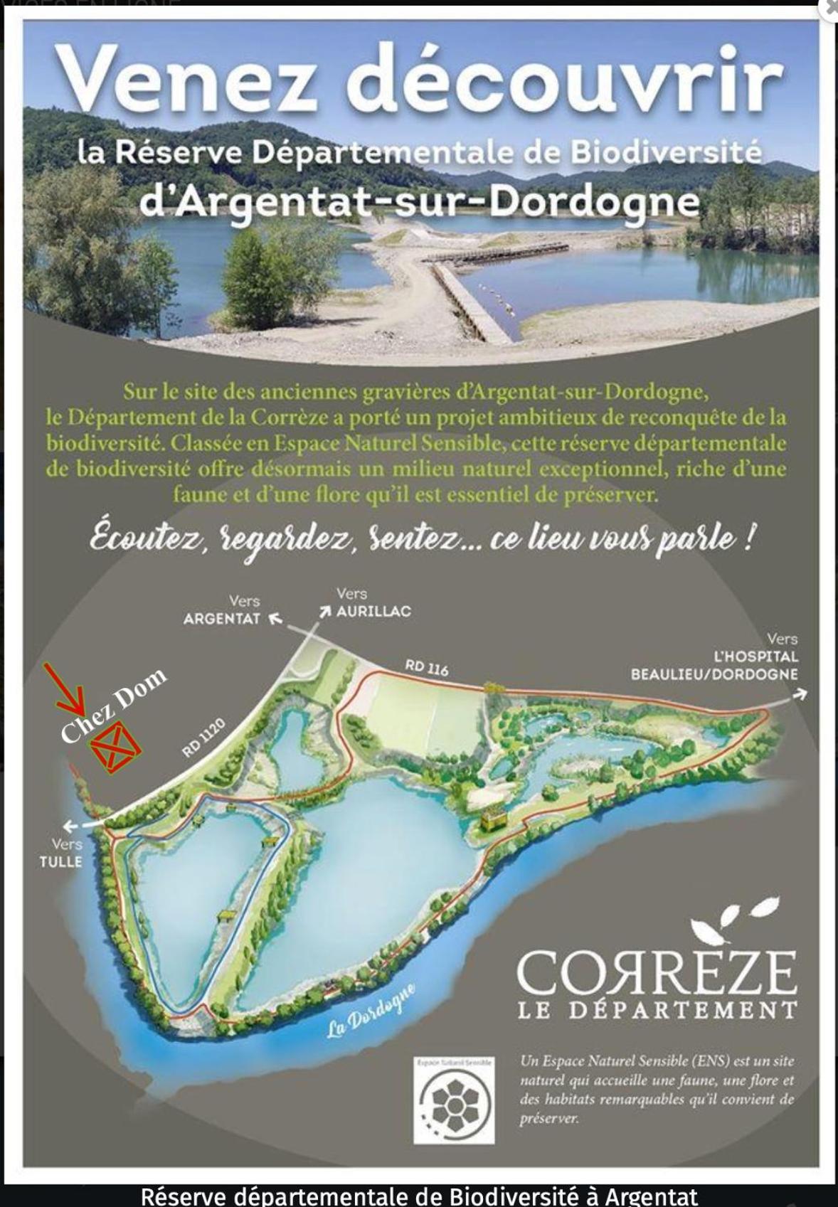 *A Setting Between Dordogne And Swimming Pool* Daire Argentat Dış mekan fotoğraf